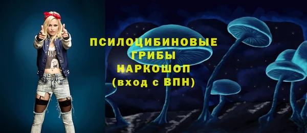герыч Бронницы