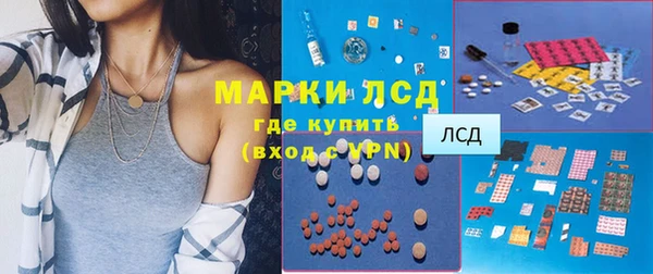 стафф Бородино