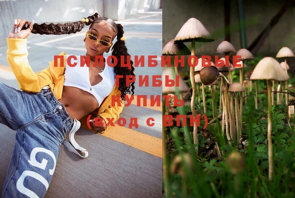 герыч Бронницы
