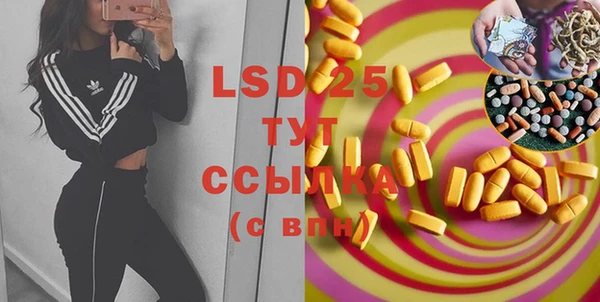стафф Бородино
