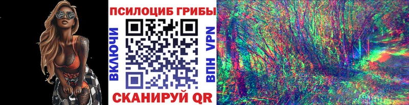 shop телеграм  Вельск  Псилоцибиновые грибы Psilocybe 